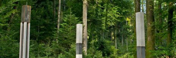 Hexenmusik im Maiengrün