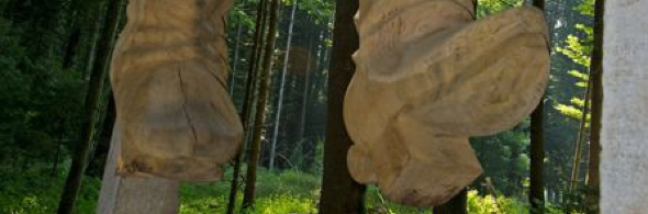 Der Styfeliryter