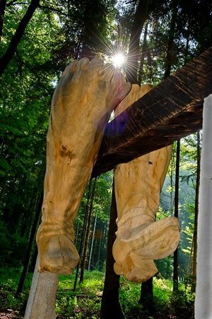 Der Stifeliryter