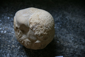KNOSPE