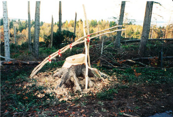Wege-des-Ausbruchs--Symposium-Uetliberg-2000