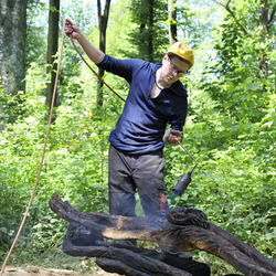 Bildhauersymposium-2010-Wohlen-0420