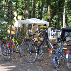 Bildhauersymposium-2010-Wohlen-0440