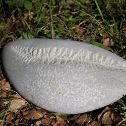 Bildhauersymposium-2010-Wohlen-0481