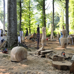 Bildhauersymposium-2010-Wohlen-0484