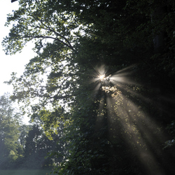 Bildhauersymposium-2010-Wohlen-0523