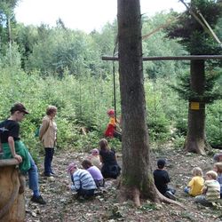 Fepa_Hexenbesen